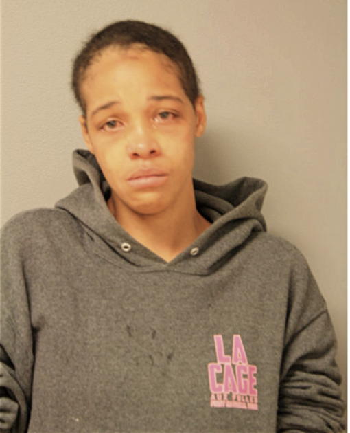 BRITTANY L GAINES, Cook County, Illinois