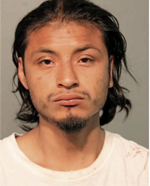 JOSE A GUARNEROS, Cook County, Illinois