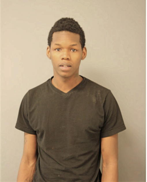 MICHAEL T HICKEY, Cook County, Illinois