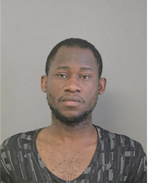 MARK J ILOGHO, Cook County, Illinois