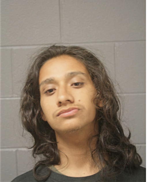 ALEXIS MARTINEZ, Cook County, Illinois