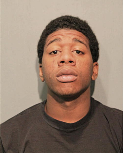 KENNETH W MERRITT, Cook County, Illinois