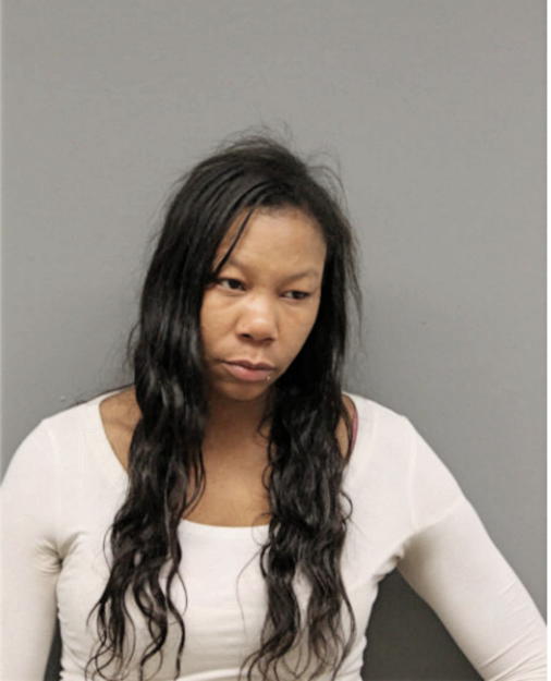 TAMEKA N MITCHELL, Cook County, Illinois