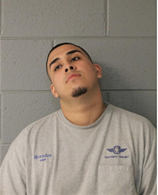 BRANDON A MORA, Cook County, Illinois