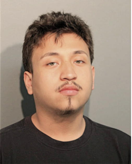 DAVID NAVARRO, Cook County, Illinois