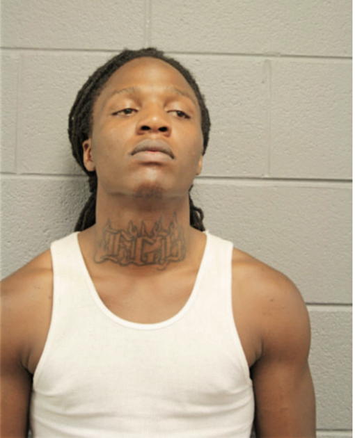 CHARLES E RICE, Cook County, Illinois