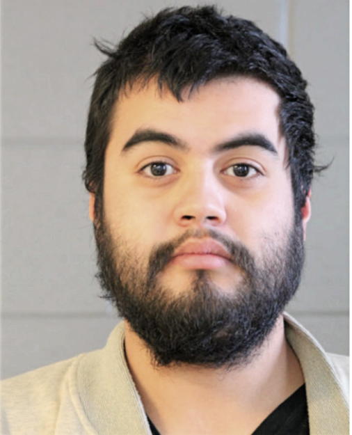 DARIO R RODRIGUEZ, Cook County, Illinois