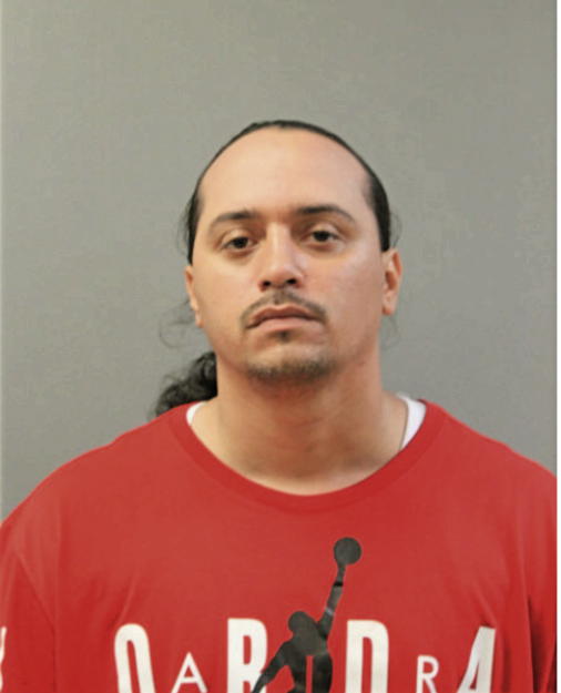 TOMAS J ROSARIO, Cook County, Illinois
