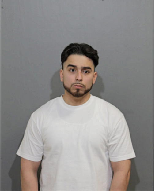 NICHOLAS A SEPULVEDA, Cook County, Illinois