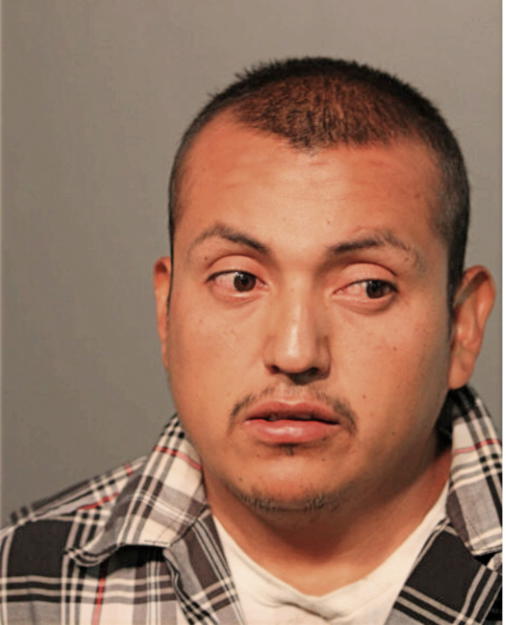 ADRIAN SILVA, Cook County, Illinois