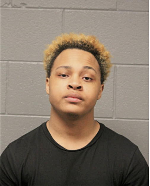 NATHAN K T WRIGHT, Cook County, Illinois