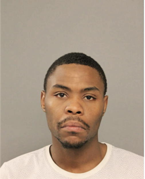 MICHAEL L WOODS, Cook County, Illinois