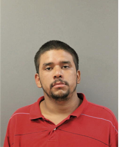 JUAN C ANDRADE, Cook County, Illinois
