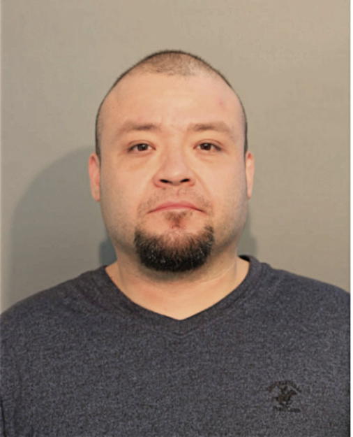 JOSE A CASTILLO, Cook County, Illinois