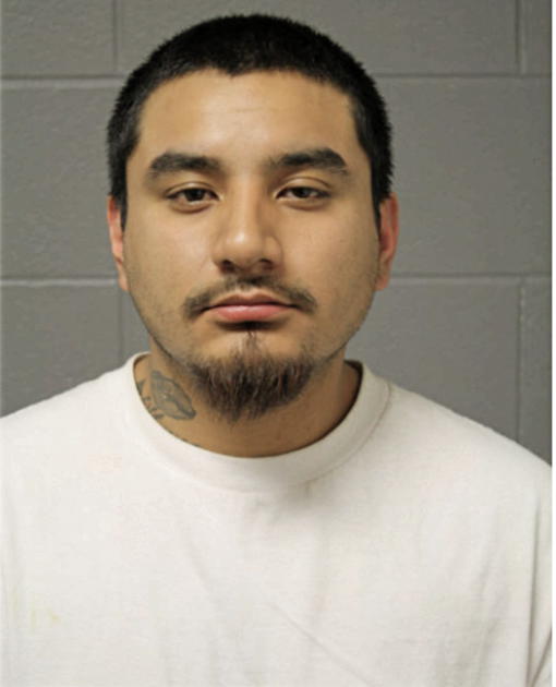 BENJAMIN E CRUZ, Cook County, Illinois