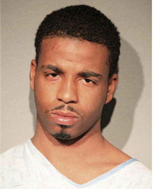 DAVID L DAVIS, Cook County, Illinois
