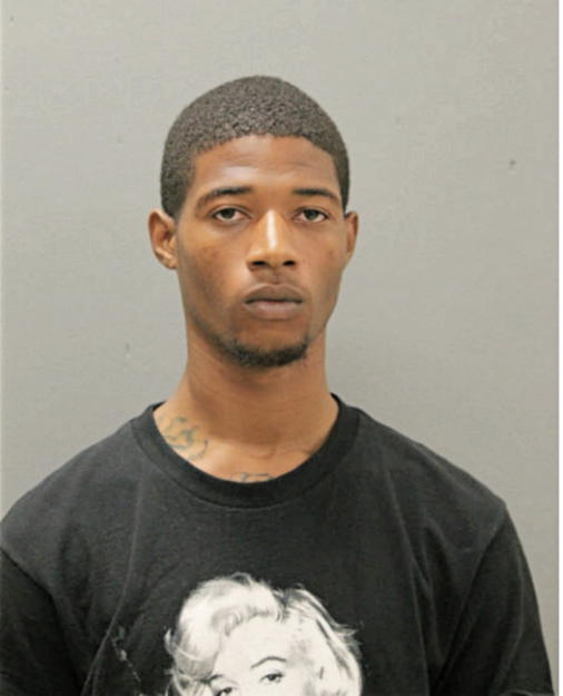 NATHANAEL G DAVIS-HEARN, Cook County, Illinois