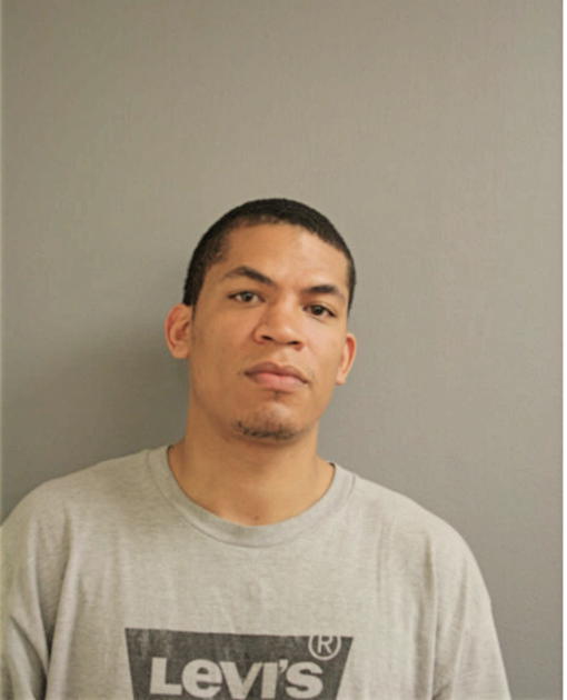 LUIS A DEJESUS, Cook County, Illinois