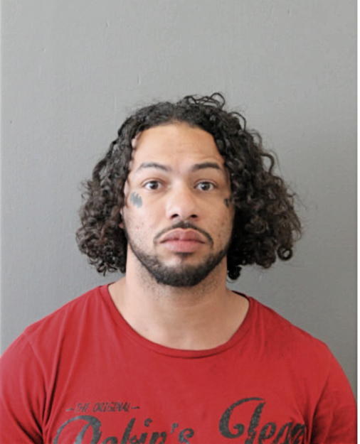 STEVE T GILES, Cook County, Illinois