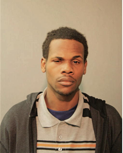 KEVIN E HAMANN, Cook County, Illinois