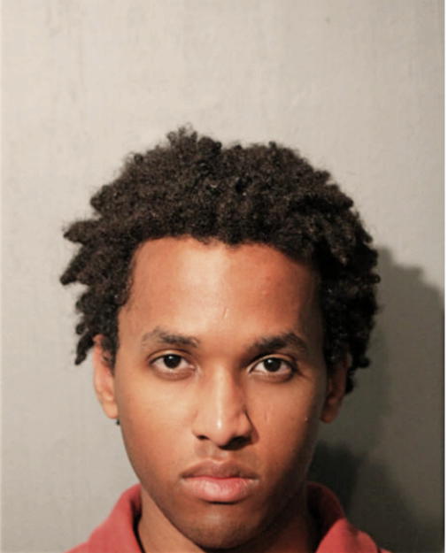 MICHAEL HENDERSON, Cook County, Illinois