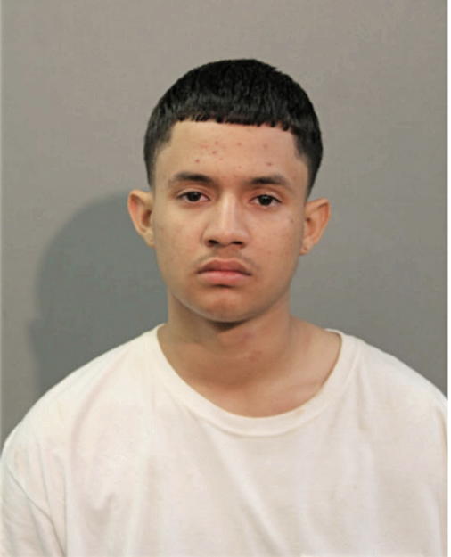 JUSTIN J HERNANDEZ, Cook County, Illinois