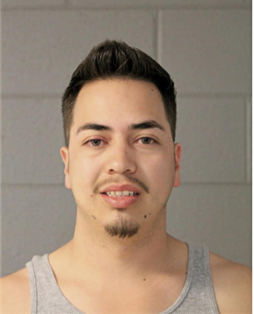 JOSE C HERRERA, Cook County, Illinois
