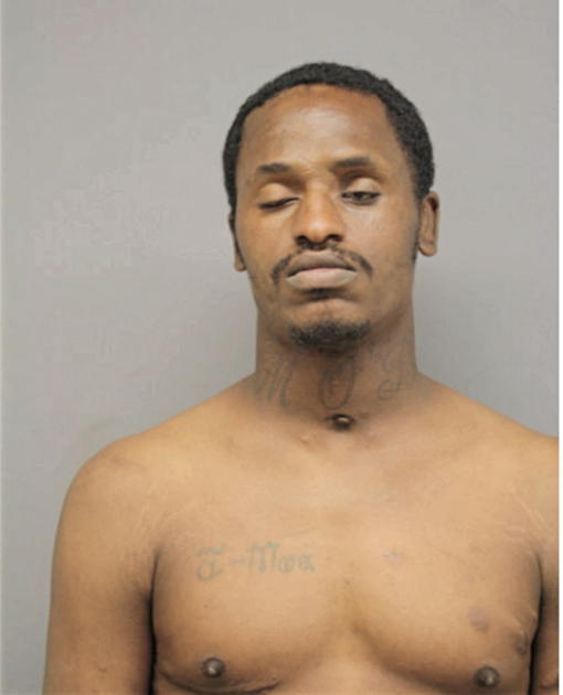 CALVIN T JOHNSON, Cook County, Illinois