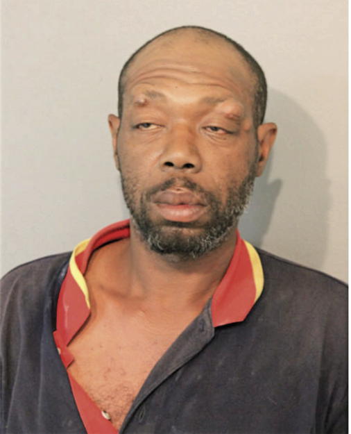 MICHAEL A JOHNSON, Cook County, Illinois