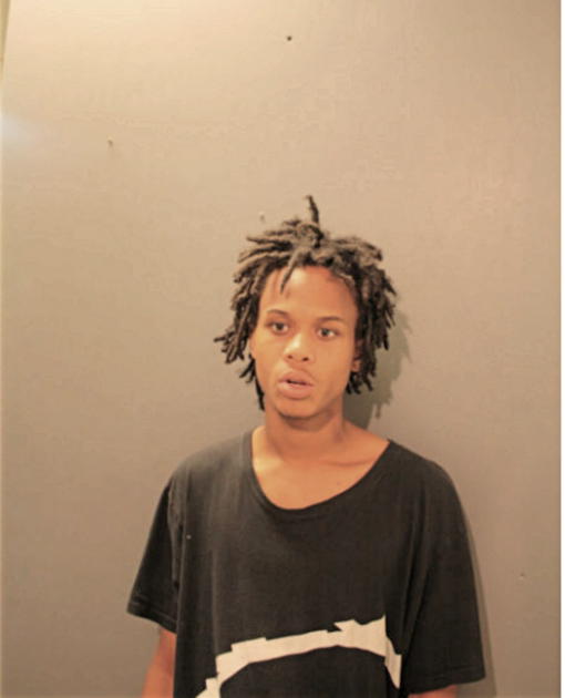 VOSHON K JOHNSON, Cook County, Illinois