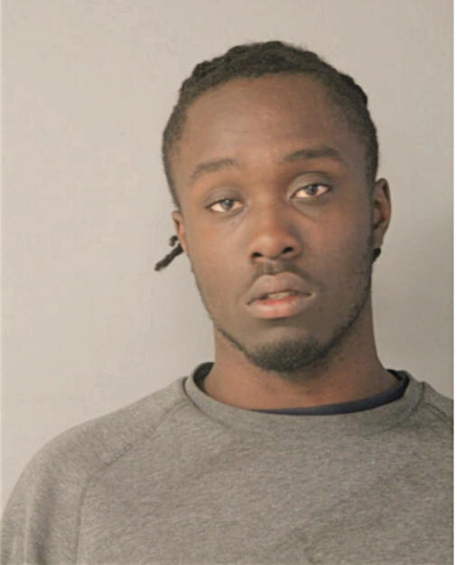 CHRISTOPHER R LEWIS, Cook County, Illinois