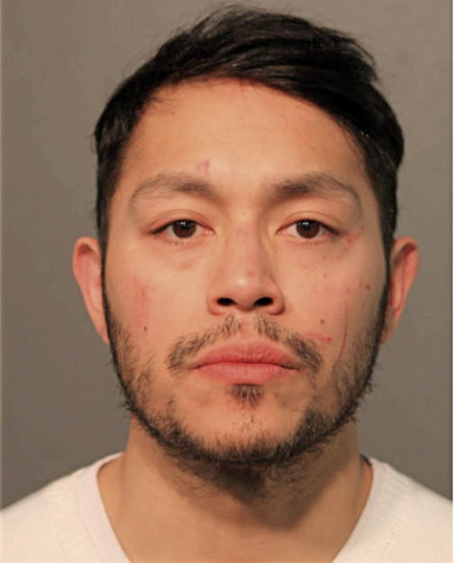 VINCENT A NATIVIDAD, Cook County, Illinois
