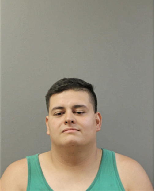 ENRIQUE I RAMIREZ, Cook County, Illinois