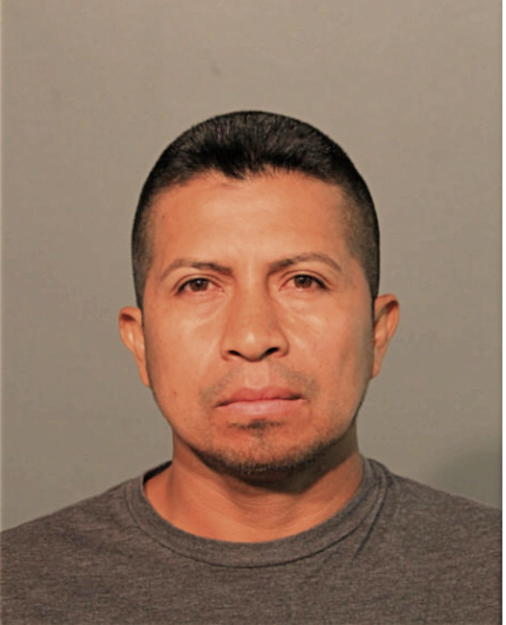 TYRONE M RAMON DOMINGUEZ, Cook County, Illinois