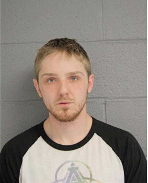 DAVID J REGNER, Cook County, Illinois