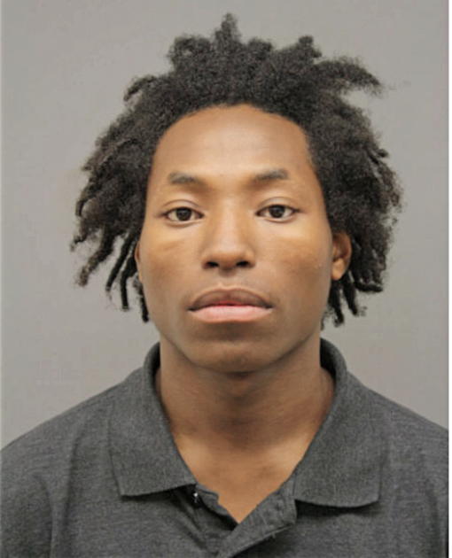 ARIES RICKENBACKER, Cook County, Illinois