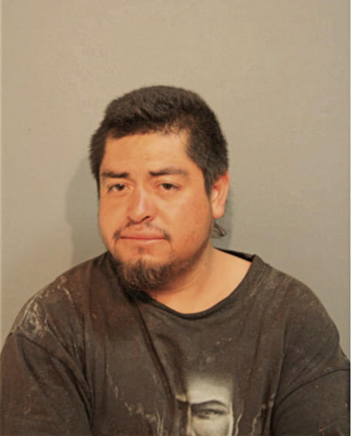 ENRIQUE SEDANO, Cook County, Illinois
