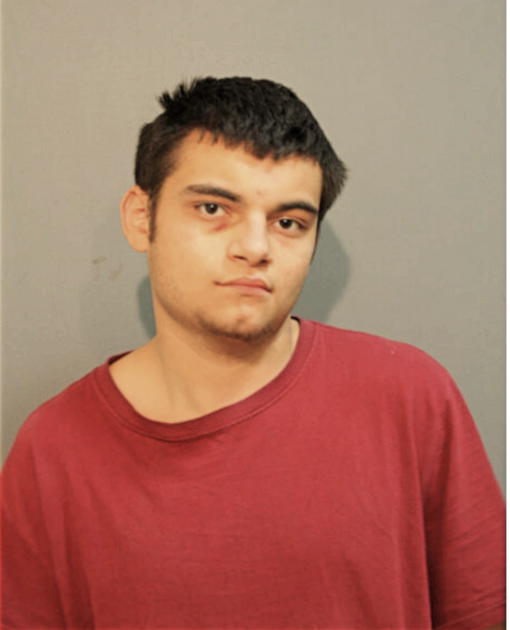 DAVID J VELASQUEZ, Cook County, Illinois