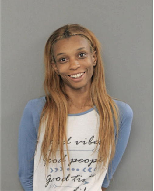 BRITTANY S WOOTEN, Cook County, Illinois