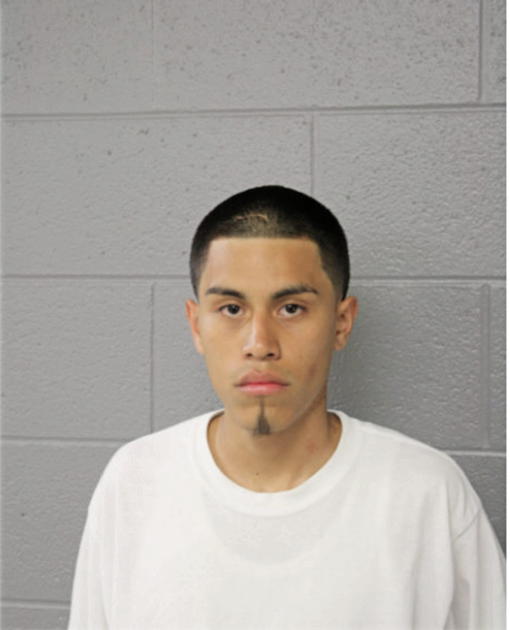 NOEL S ANDRADE-GARCIA, Cook County, Illinois