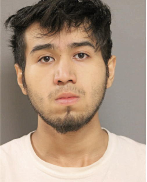 RAUL CARPINTERO, Cook County, Illinois