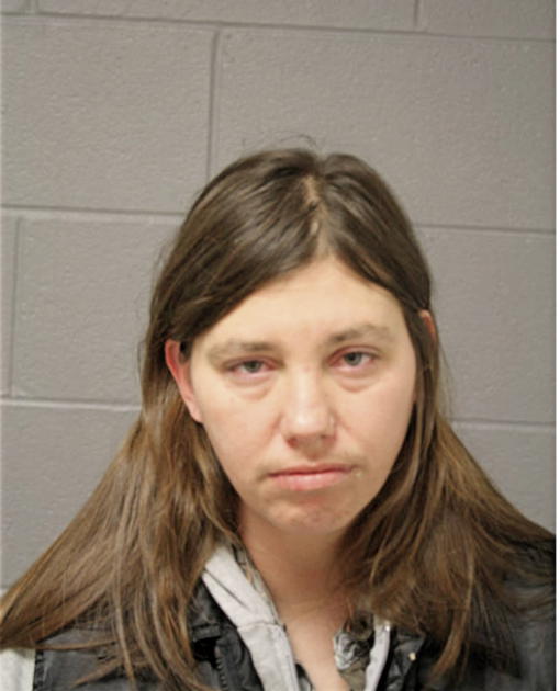 CAROLYN J CHIZE, Cook County, Illinois