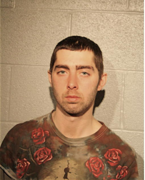 TIMOTHY P FITZGIBBON, Cook County, Illinois