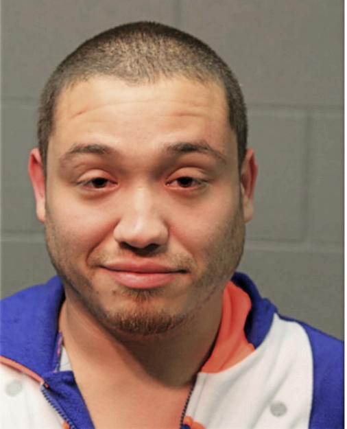 ANDREW K GARCIA, Cook County, Illinois