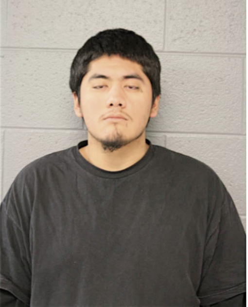 SERGIO J GONZALEZ, Cook County, Illinois