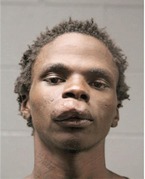 CHEZZERAE D HAYNES, Cook County, Illinois