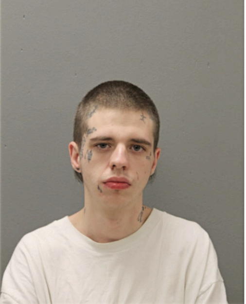 BRANDON D HOYNES, Cook County, Illinois