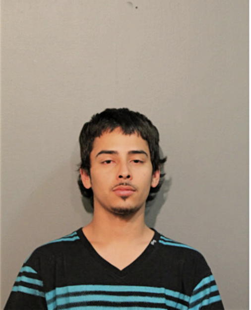LUIS I HUERTA, Cook County, Illinois