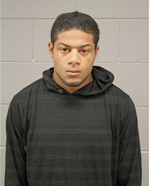 DWIGHT A JOHNSON, Cook County, Illinois
