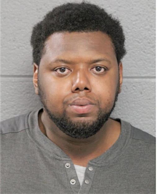 DAVID T LEWIS, Cook County, Illinois